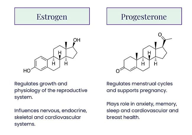 Estrogen and Progesterone infographic
