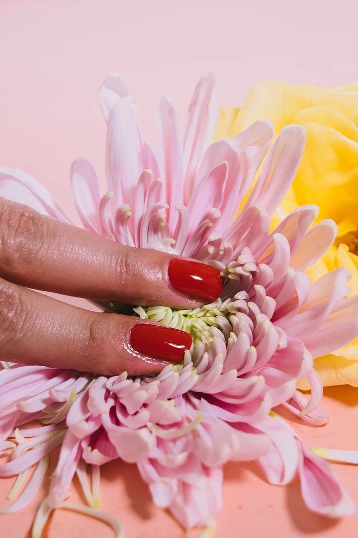 Two manicured fingers with red nails touching a pink flower