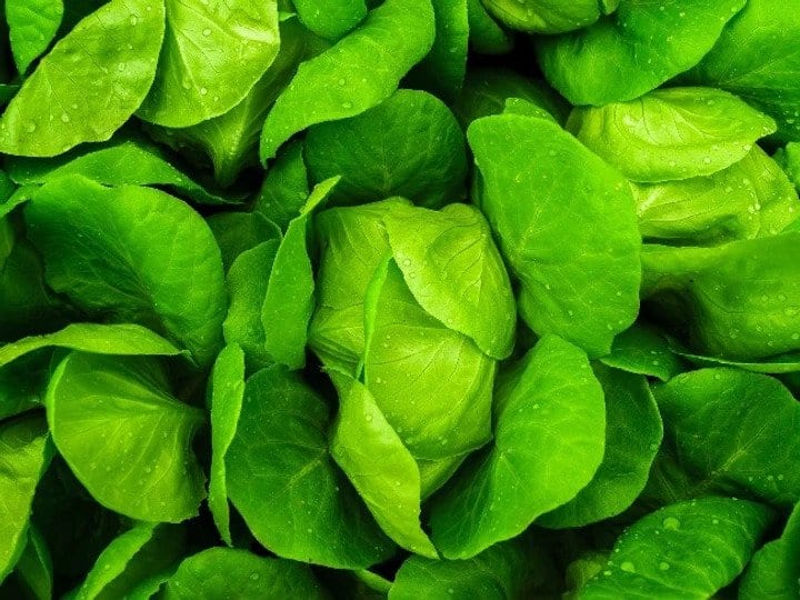Leafy greens- Eating and Living Well in your 40s, 50s and Beyond