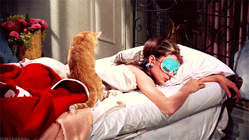 Sweet dreams are made of ZZZs