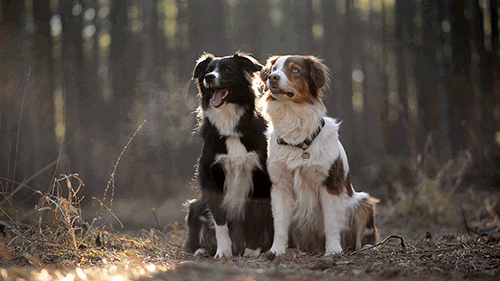 3 Tips for Tending to Your Friendships